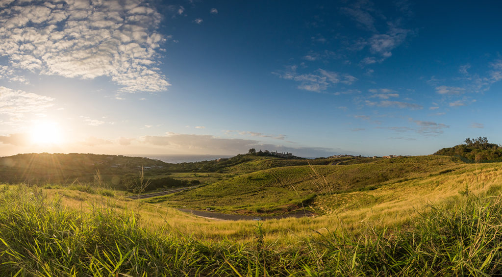 zululami north coast