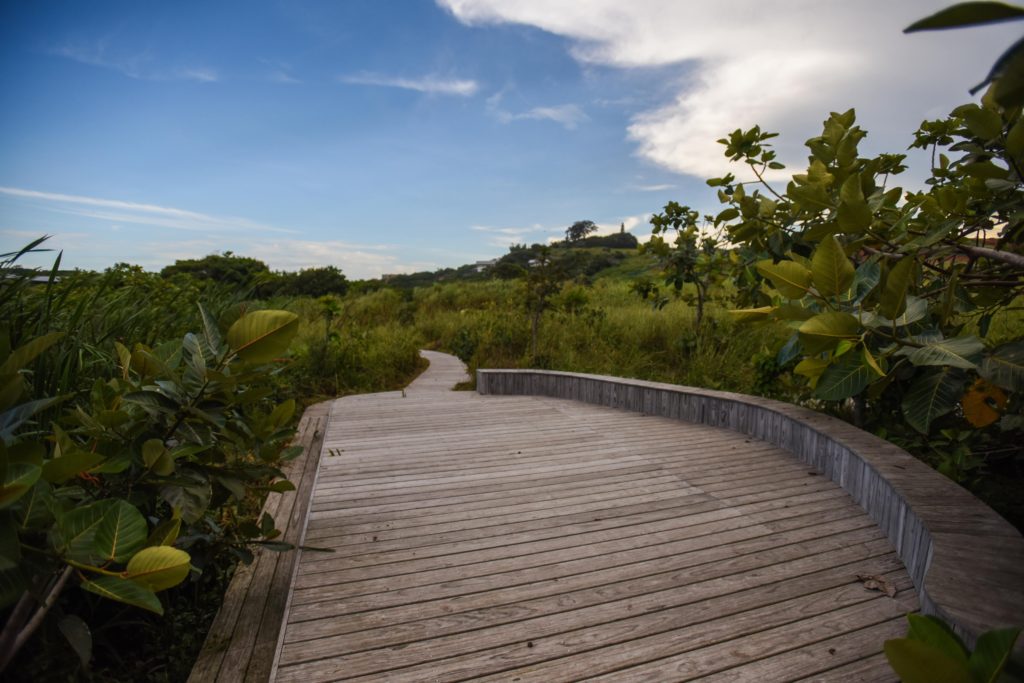 hiking trail at zululami